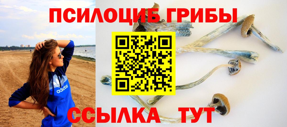 Псилоцибиновые грибы MAGIC MUSHROOMS Фрязино